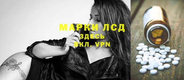 сатива Строитель