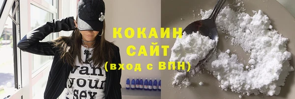 сатива Строитель