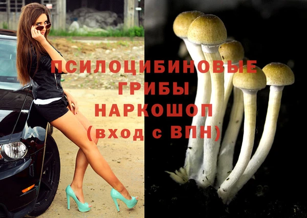 прущие крисы Ступино