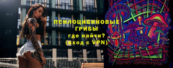 сатива Строитель