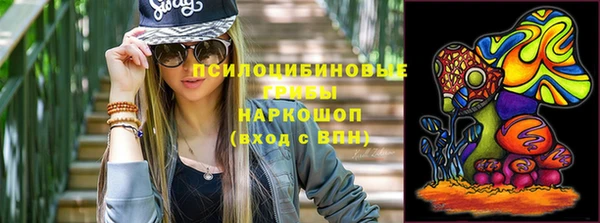 сатива Строитель